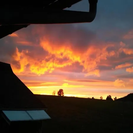 Bright In The Harz Mountains *
