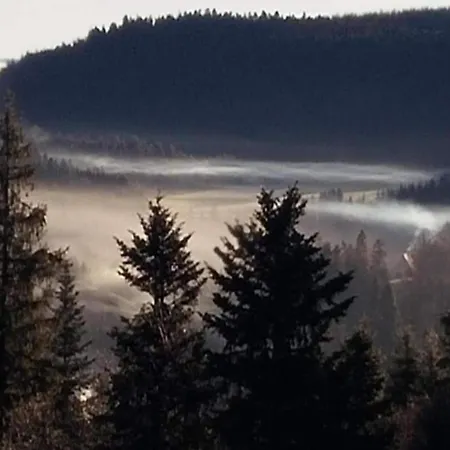 Bright In The Harz Mountains