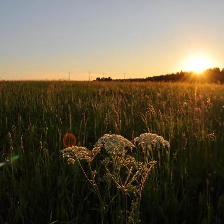 Appartamento Charming Apartment, Harz Region *