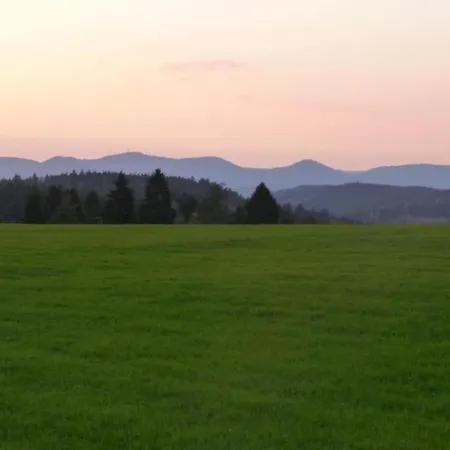 Bright In The Harz Mountains Apartment *