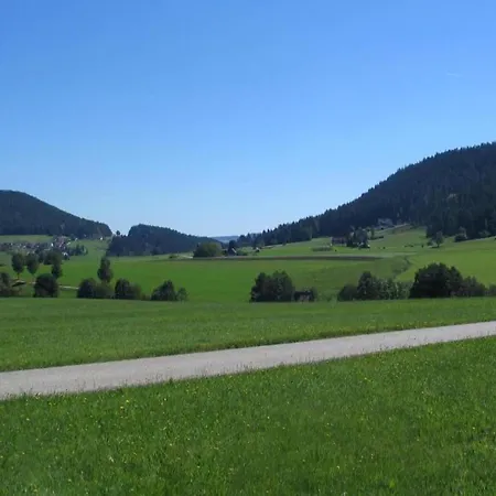 Bright In The Harz Mountains Apartment Meisdorf
