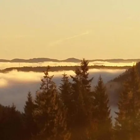 Bright In The Harz Mountains * Meisdorf