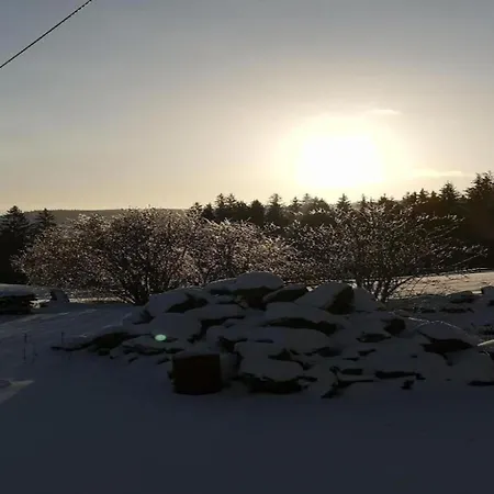 Bright In The Harz Mountains *