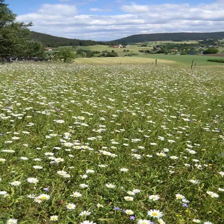 Charming Apartment, Harz Region
