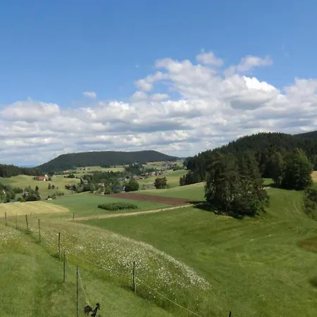Apartment Bright In The Harz Mountains