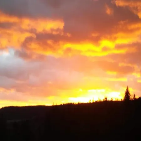 Bright In The Harz Mountains Meisdorf