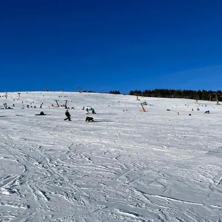 Bright In The Harz Mountains * Meisdorf