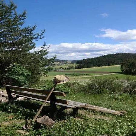 Bright In The Harz Mountains
