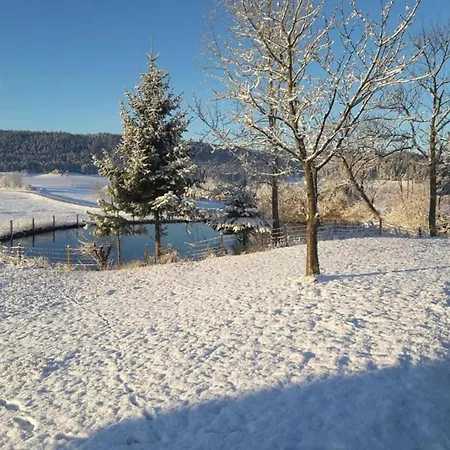 Apartment Bright In The Harz Mountains