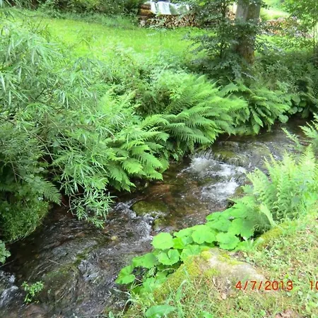 Apartment Bright In The Harz Mountains *