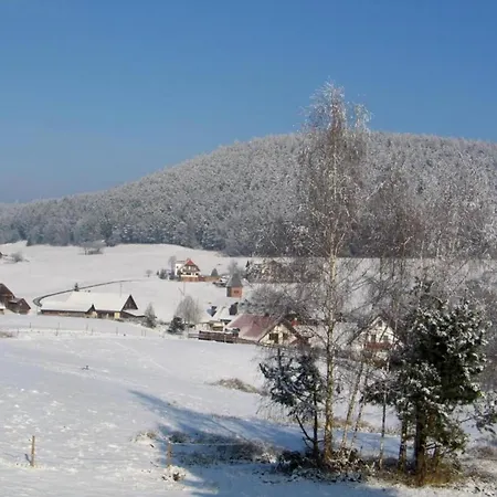 Charming Apartment, Harz Region *