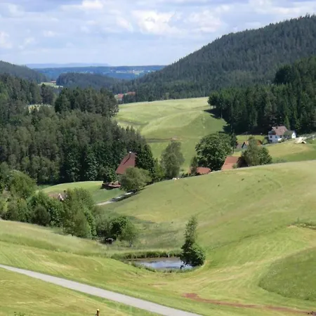 Charming Apartment, Harz Region Appartamento