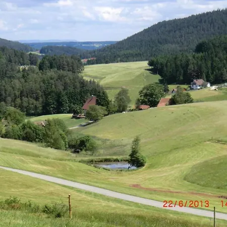 Charming Apartment, Harz Region Meisdorf
