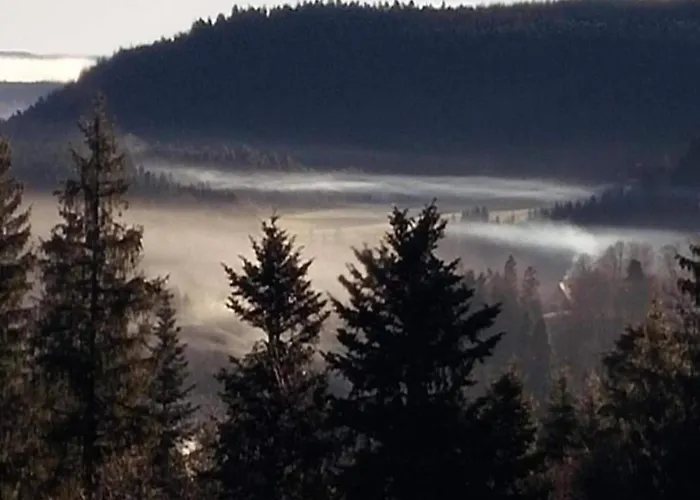 Charming Apartment, Harz Region