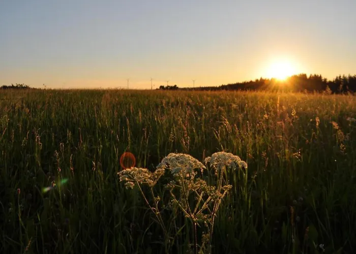 Lägenhet Charming Apartment, Harz Region *