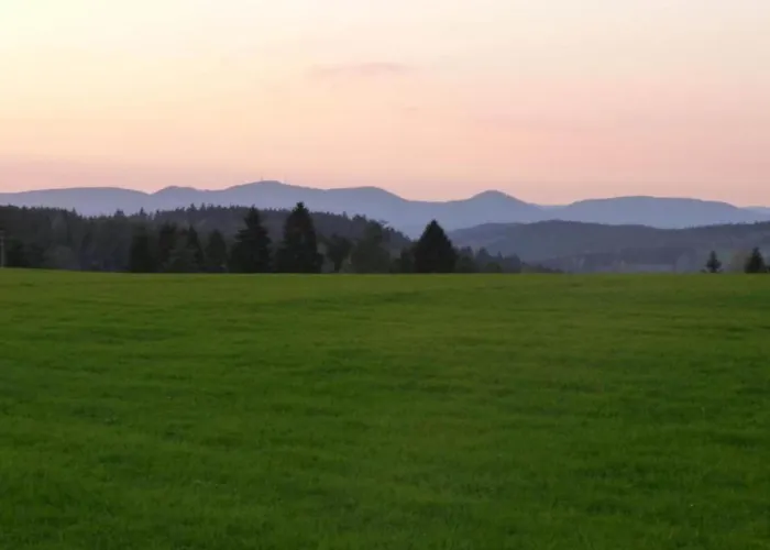 Charming Apartment, Harz Region Lägenhet *