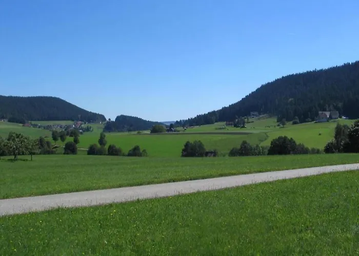 Charming Apartment, Harz Region Lägenhet Meisdorf