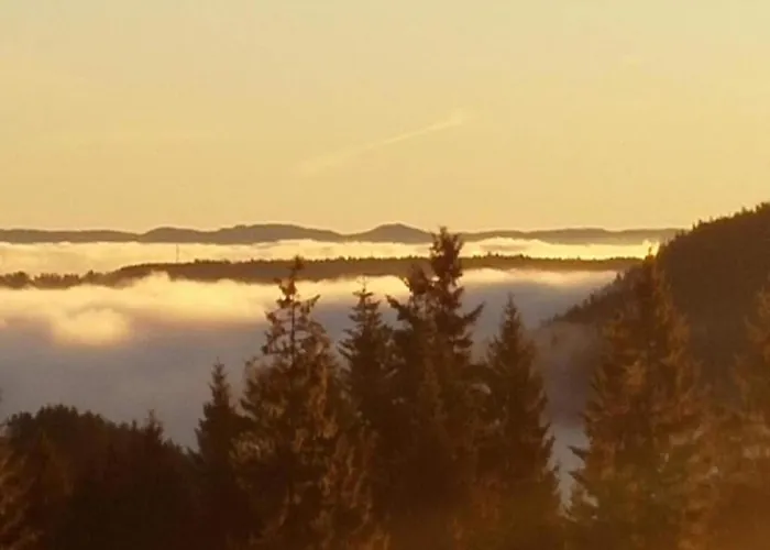 Charming Apartment, Harz Region * Meisdorf