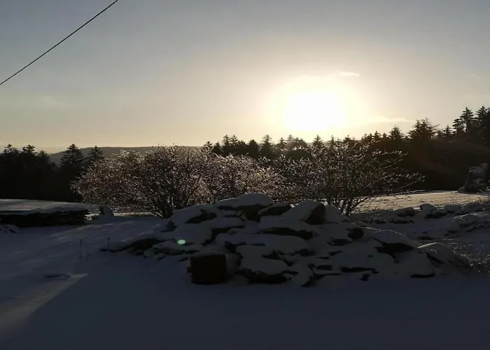 Charming Apartment, Harz Region *