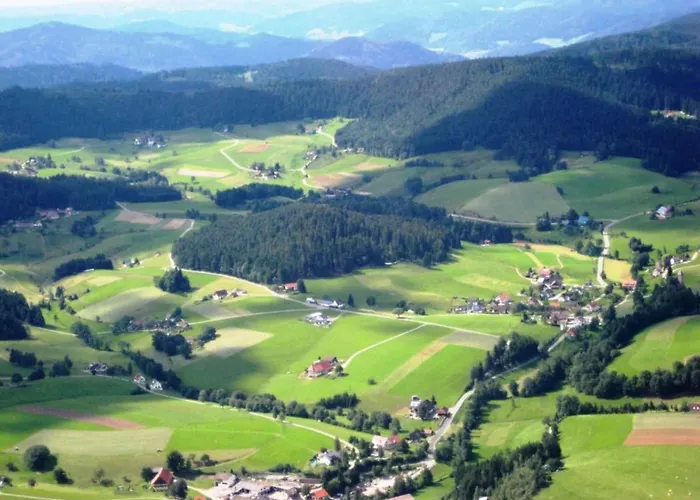 Charming Apartment, Harz Region * Meisdorf