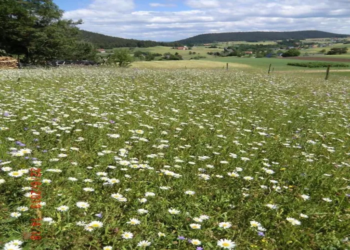 Charming Apartment, Harz Region