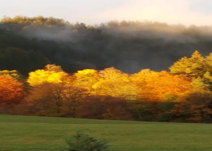 Charming Apartment, Harz Region Lägenhet