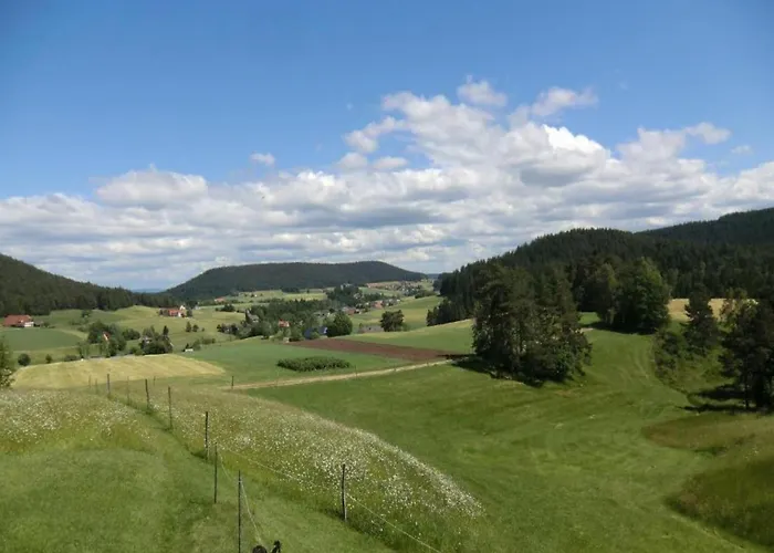 Lägenhet Charming Apartment, Harz Region