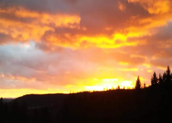 Charming Apartment, Harz Region Meisdorf