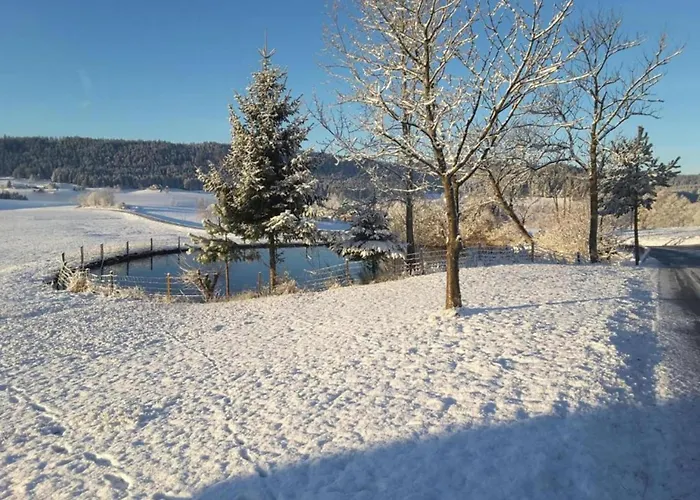 Lägenhet Charming Apartment, Harz Region