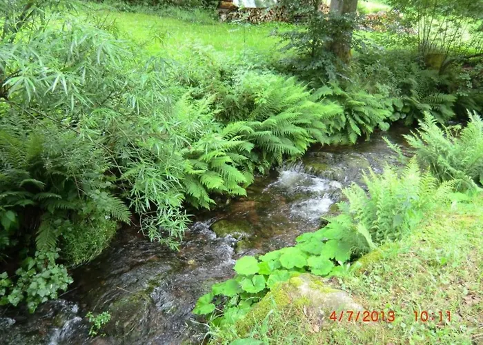 Lägenhet Charming Apartment, Harz Region *