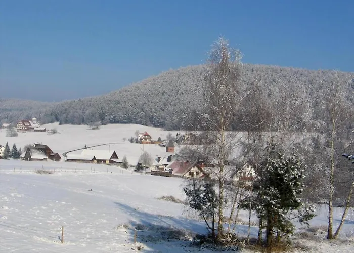 Charming Apartment, Harz Region *