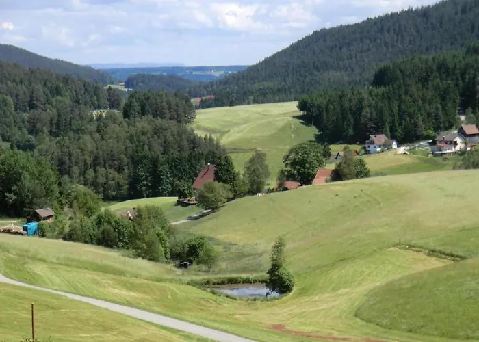 Charming Apartment, Harz Region Lägenhet